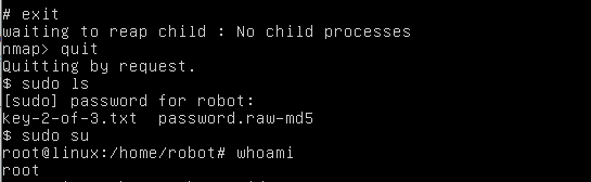 que-com-ctp-mr-robot-rooted